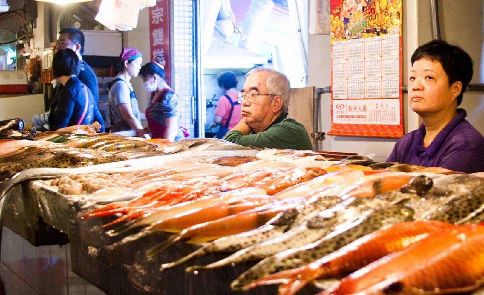 [屏東] 東港魚市-鱻美魚產的天堂